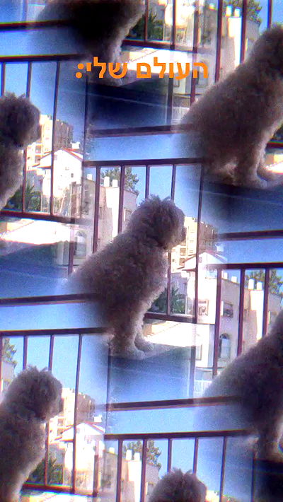 feelbetterinmysweater feelbetterinmysweater archive video