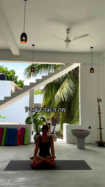 liad.arazi liad.arazi archive video