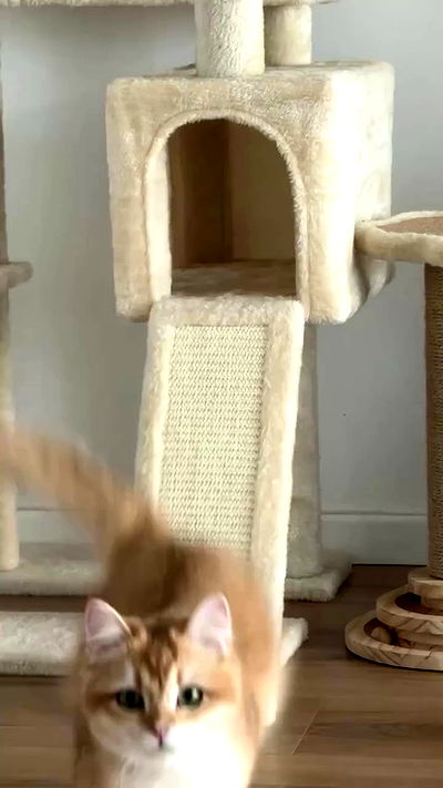 itsilanosh itsilanosh archive video