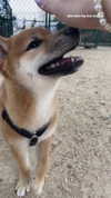 ivy.owowo Altpins Profile Picture