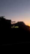 dianavgalvis Altpins Profile Picture