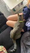 manic__sexdoll Altpins Profile Picture