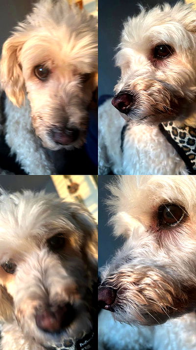 feelbetterinmysweater feelbetterinmysweater archive video