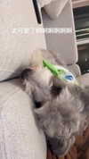 ceceyjwww Altpins Profile Picture