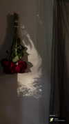 xo.cynnthiia Altpins Profile Picture