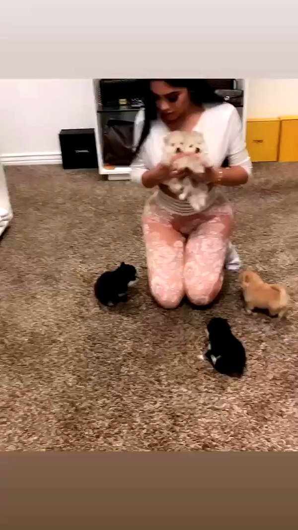 jailyneojeda archive video preview