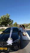 ligal_zino Altpins Profile Picture
