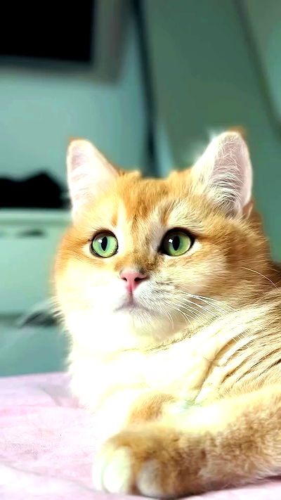 itsilanosh itsilanosh archive video