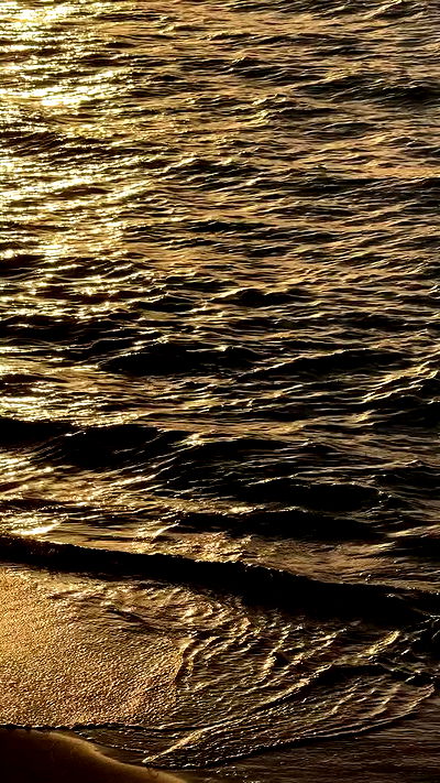 justlerman justlerman archive video