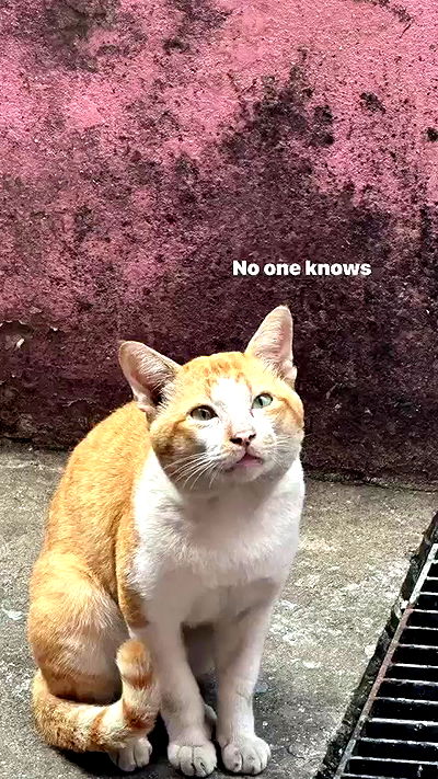 oqr0_ oqr0_ archive video