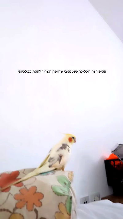 tinapavlov.sky tinapavlov.sky archive video