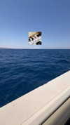 ilana.21 Altpins Profile Picture