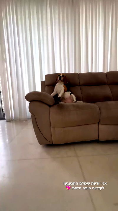 emily.otaku emily.otaku archive video