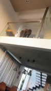 railey.tv Altpins Profile Picture
