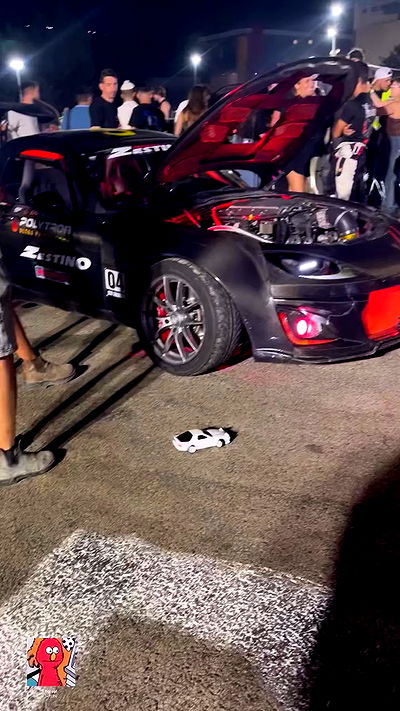 simp_for_cats_ simp_for_cats_ archive video