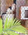 emmarose_xoxoxo Altpins Profile Picture