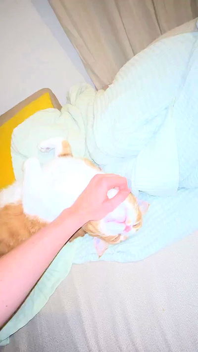 iambohema.v2 iambohema.v2 archive video