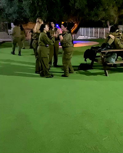 tuliprivet tuliprivet archive video