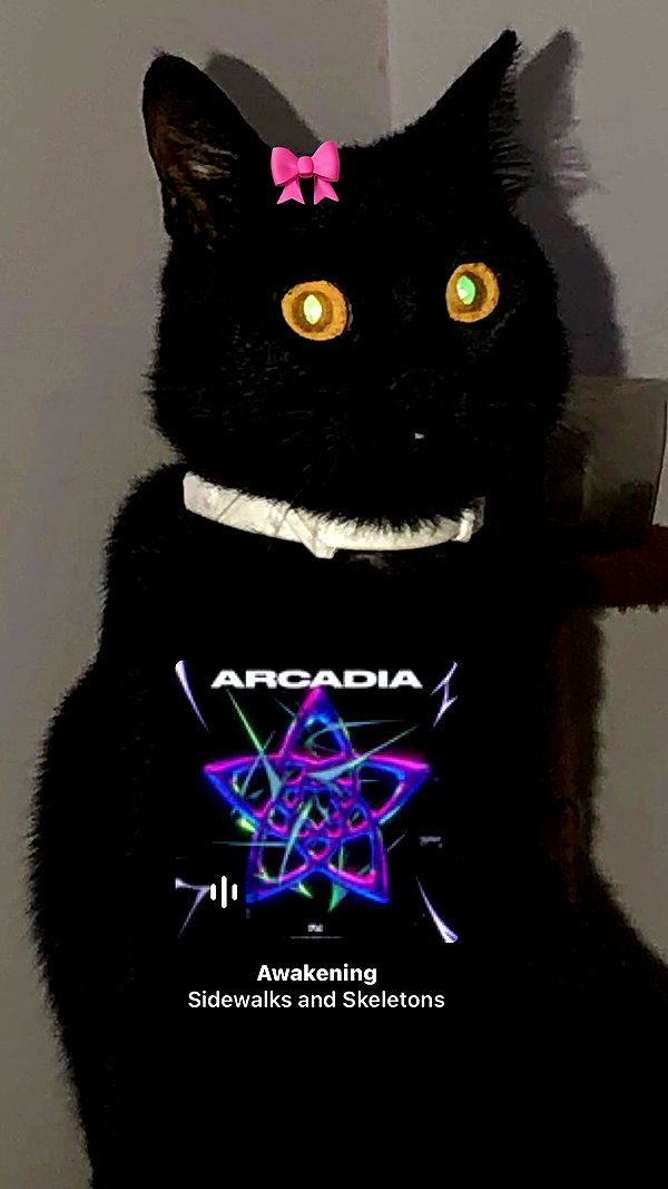 hilaxkitty archive video preview