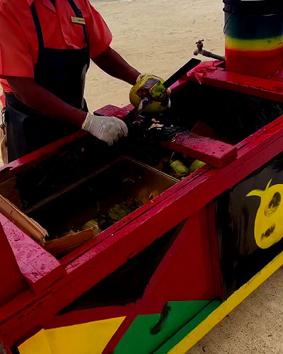 bakedsloths bakedsloths archive video