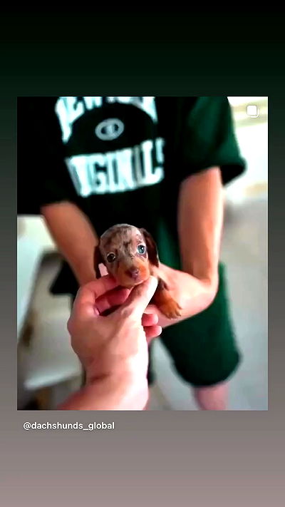 _._dianush._ _._dianush._ archive video