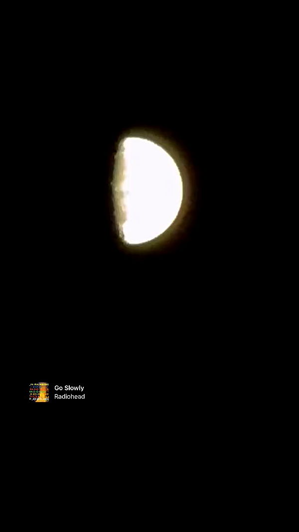 romy_ayalla_lavi archive video preview