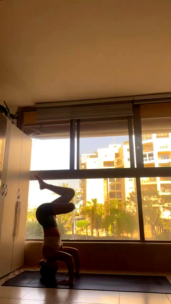 liad.arazi archive video preview