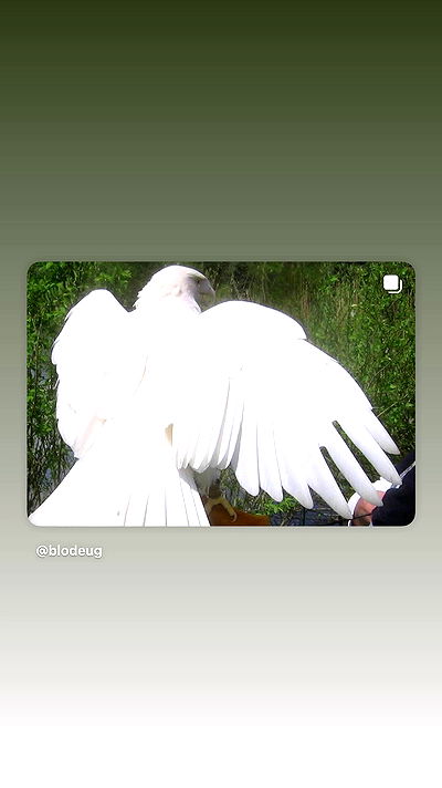 alexalizzz alexalizzz archive video