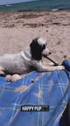 elena_stain Altpins Profile Picture