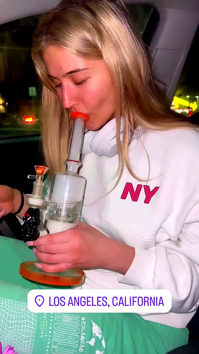 bakedsloths bakedsloths archive video