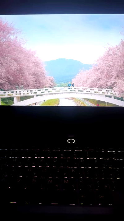 moonliliaght moonliliaght archive video