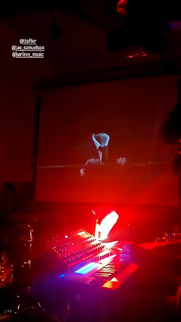 shayli_or shayli_or archive video