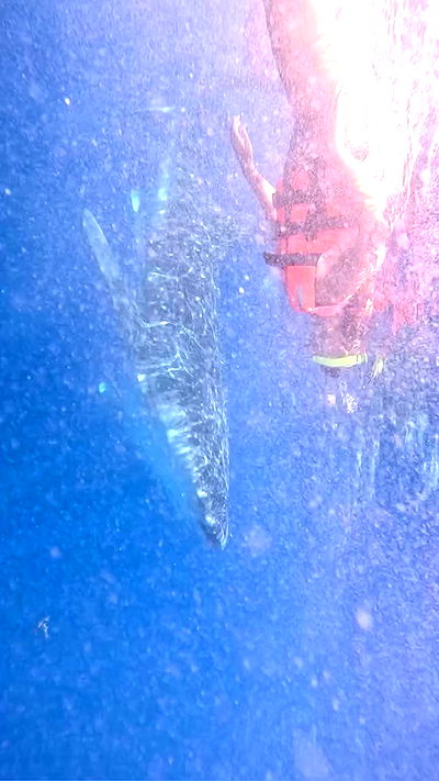 valeria_lukin valeria_lukin archive video