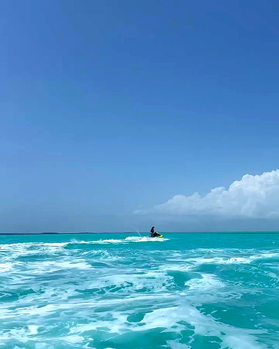 carolinezalog carolinezalog archive video