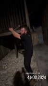 _lil_noa_ Altpins Profile Picture
