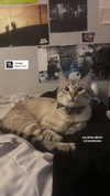 valeriecastellano Altpins Profile Picture