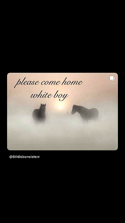 liashaked liashaked archive video