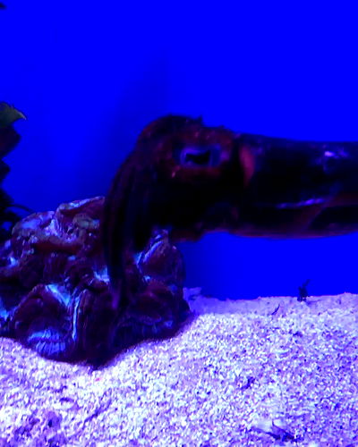 piper.jaylen piper.jaylen archive video