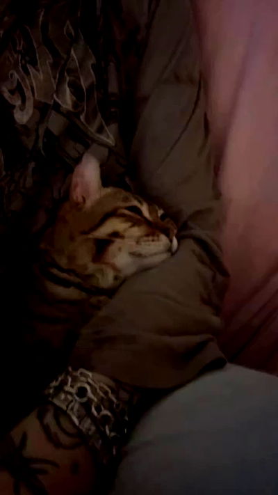 laurinchhhe laurinchhhe archive video