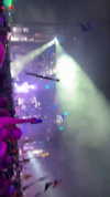 rinnibunnyy Altpins Profile Picture
