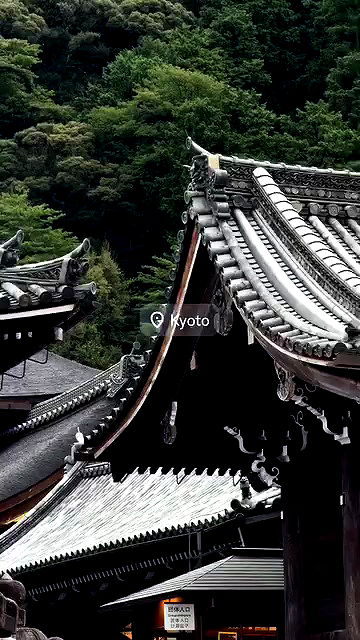 carolinezalog carolinezalog archive video