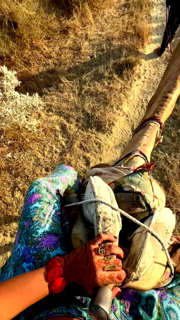 noa_mendel_ archive video preview