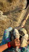 noa_mendel_ Altpins Profile Picture