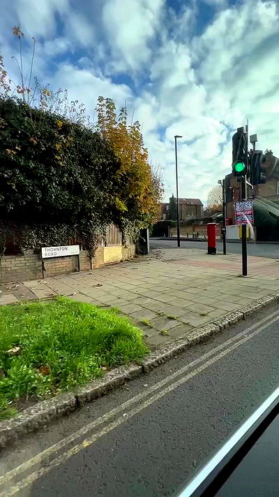 bakedsloths bakedsloths archive video