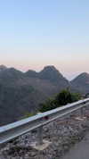 veronika_grish Altpins Profile Picture