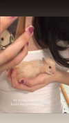 claudiagarmaa Altpins Profile Picture