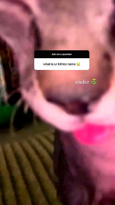 zommmbri zommmbri archive video