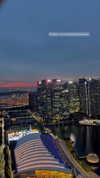 shelly_roberin Altpins Profile Picture