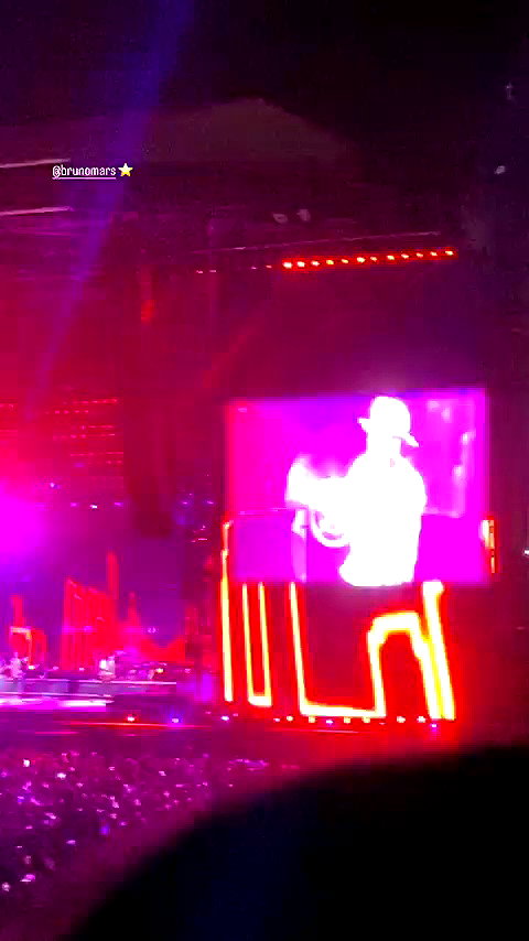 maor.d_ archive video preview