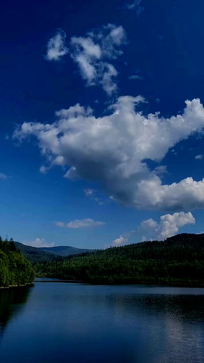 noa_zemlyanski noa_zemlyanski archive video